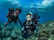 ppM_CrOXN[ߔeX̎ʐ^4