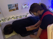 YOSAPARK Gerbera ]X̎ʐ^2