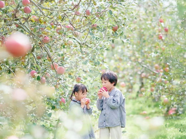 �ܖ���񂲉��̎ʐ^1