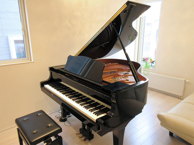 �����s�A�m�����̎ʐ^1