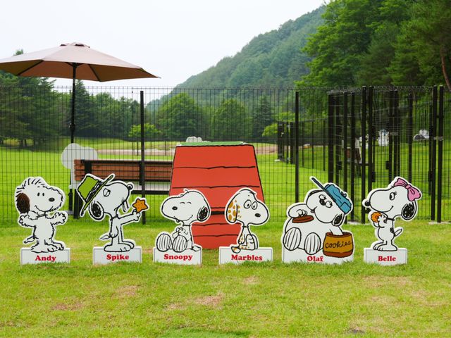 SNOOPY DOG PARK�̎ʐ^1