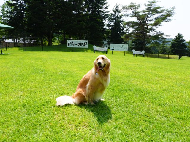 SNOOPY DOG PARK