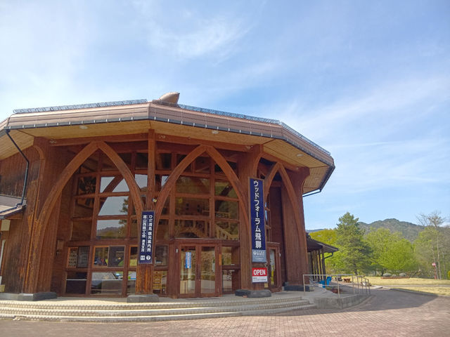 �Ђ������ό�����/�E�b�h�t�H�[������˂̎ʐ^1