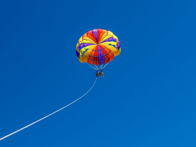 �{�Ó��p���Z�[�����O �������Lu