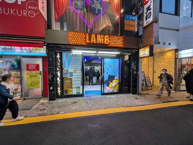 �g���J�V���b�v�����̎ʐ^1