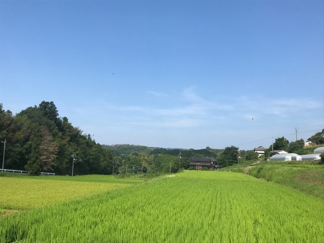 ���L��