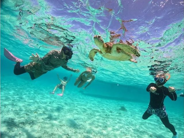 COCO SEA�{�Ó��̎ʐ^1
