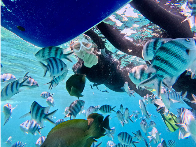 �����̋��B�Ɓc_Light On Okinawa