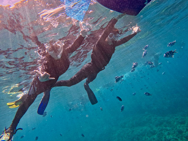 ���̊C�ցc_Light On Okinawa