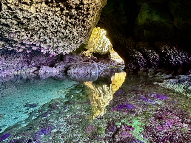 �����h�c�r�[�`�t��_Light On Okinawa