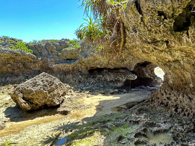 �������̗����h�c�t��_Light On Okinawa