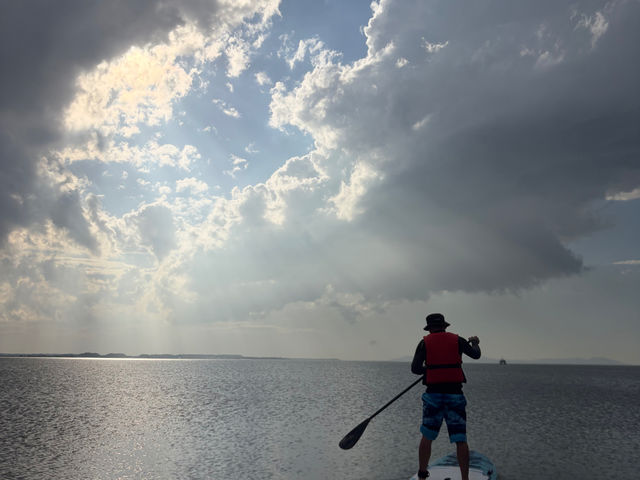 Stephens paddle