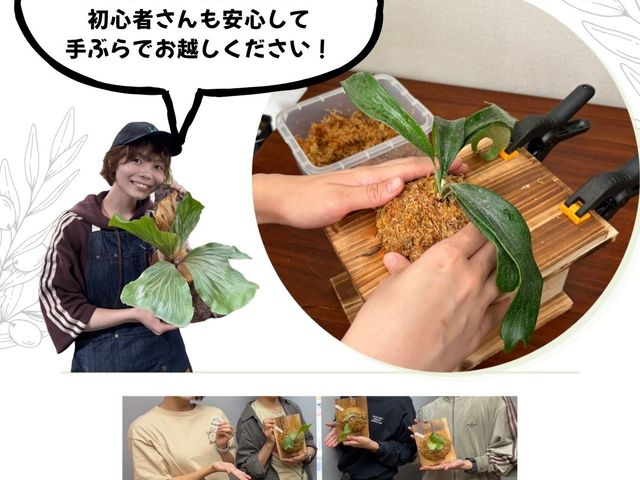 BuddyPlants�̎ʐ^1