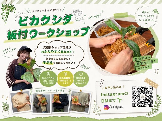 BuddyPlants�̎ʐ^1