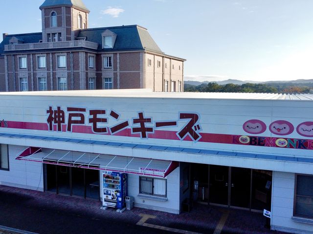 �_�˃����L�[�Y����̎ʐ^1