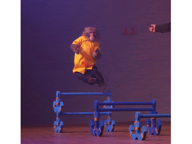 �_�˃����L�[�Y����