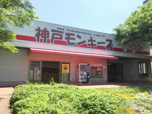 �_�˃����L�[�Y����̎ʐ^1
