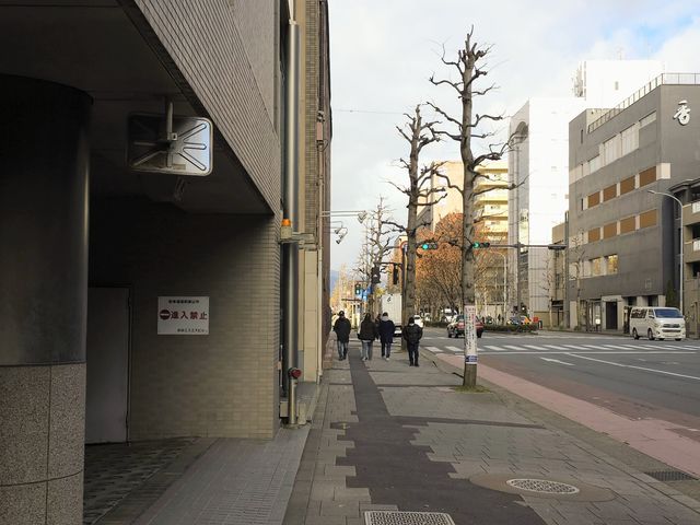 �j�f�b�N�I���S�[���V���[���[���̎ʐ^1