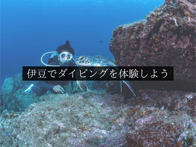 �ɓ��u���[�_�C�r���O�̎ʐ^1