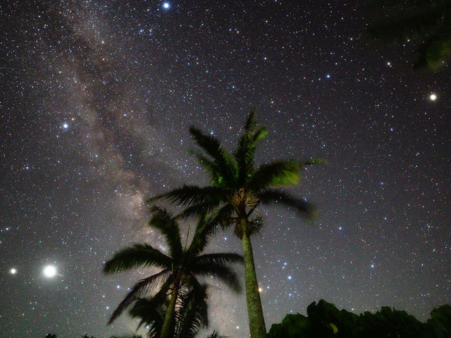 STARGAZING MIYAKO(����ό��c�A�[�{�Ó�)