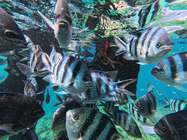 �G�������h���[�t����