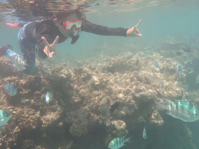 OKINAWANSUP ����X