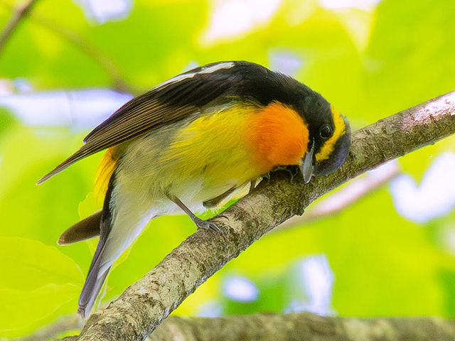 R.K WORKS