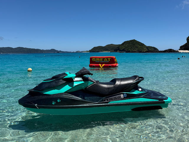 Turquoise Deigo