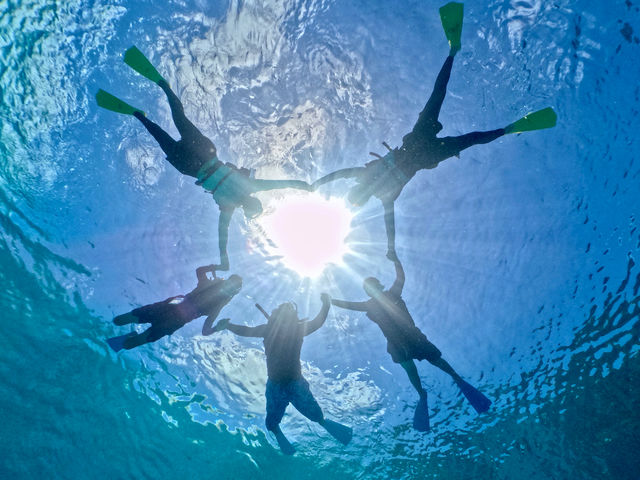 Turquoise Deigo