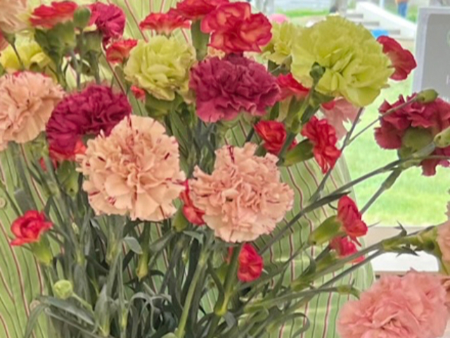 meridori FLOWERS|�߂�ǂ�