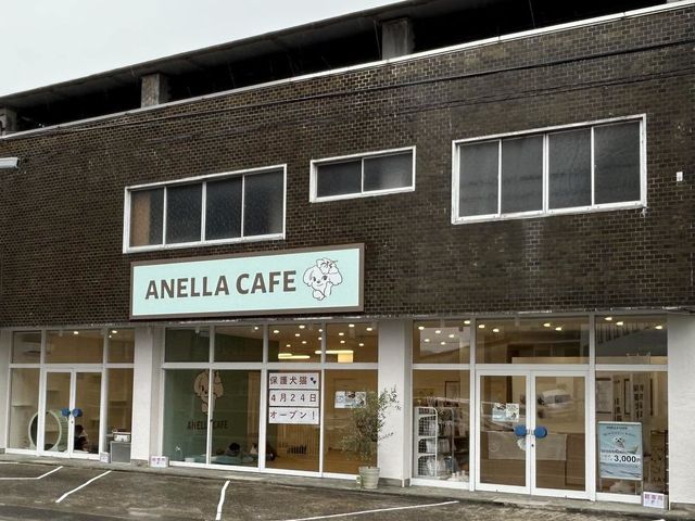ANELLA CAFE �򕌓y��X�̎ʐ^1