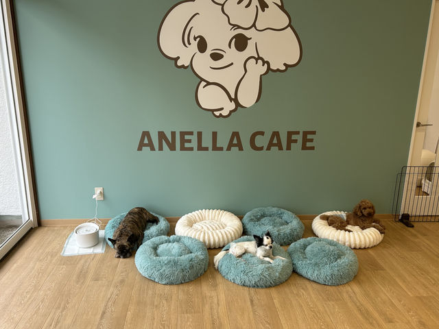 ANELLA CAFE �򕌓y��X