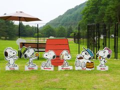 SNOOPY DOG PARK�̎ʐ^