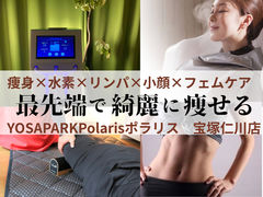 YOSAPARK Polarisの写真1