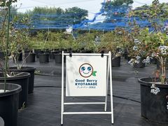グッドベリー京田辺の写真1