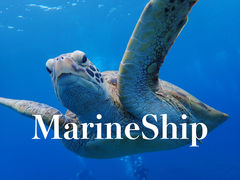MarineShip�̎ʐ^1