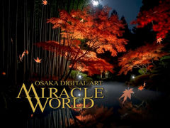MIRACLE WORLD�̎ʐ^1