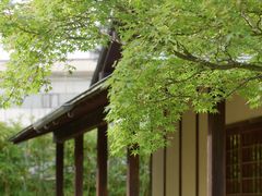 Culture Japanの写真1