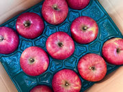 �ܖ���񂲉��̎ʐ^3