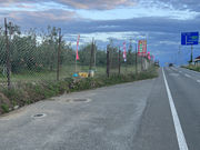 �ܖ���񂲉��̎ʐ^4