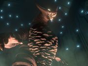 ���̍��~���[�W�A�� �E���g���}��XR�W���[�j�[�̎ʐ^3