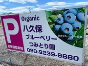 ���v�ۃA�O�x���[�̎ʐ^4