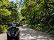 IslandMobility�̎ʐ^3