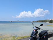 IslandMobility�̎ʐ^4