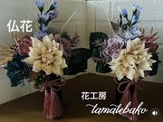 �ԍH�[tamatebako�̎ʐ^4