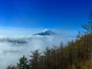 FUJIYAMA�c�C���e���X�̎ʐ^3