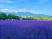 Hokkaido Outdoor Organization�̎ʐ^4