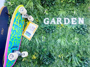 GARDEN�̎ʐ^2