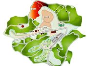 �R�n�[���j�[�E�t�H���X�g�̎ʐ^4