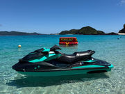 Turquoise Deigo�̎ʐ^4